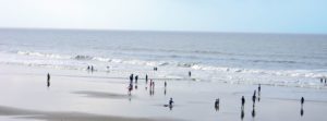 Hotel in Digha | Digha Beach Hotel | The Coral Digha