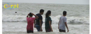 Digha Hotels - Hotels in Digha - the Coral
