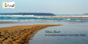 Talsari Beach near Digha | hotels in Digha | Resorts in Digha | Hotel Coral