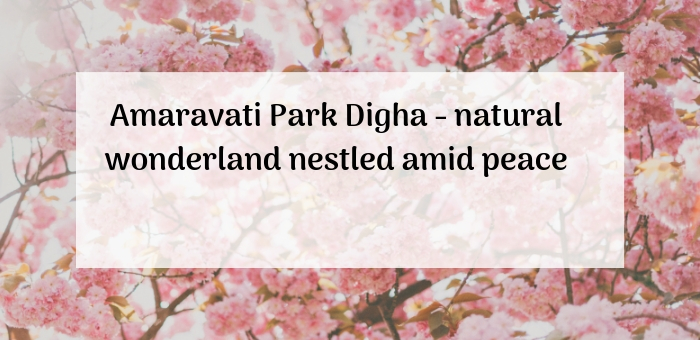 Amaravati Park Digha – natural wonderland nestled amid peace